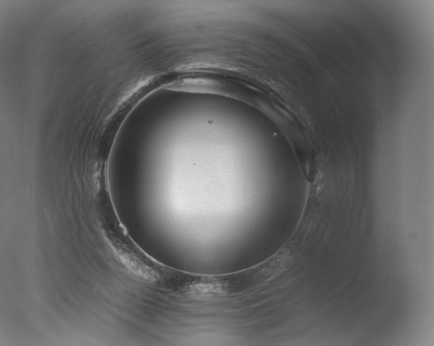 X0000077360160200610201332