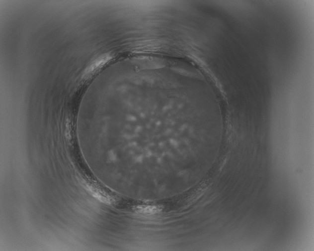 X0000077360161200610201332