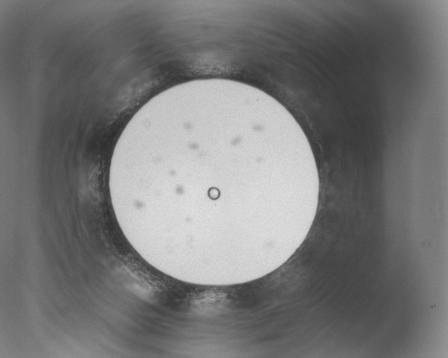 X0000077360162200610201332