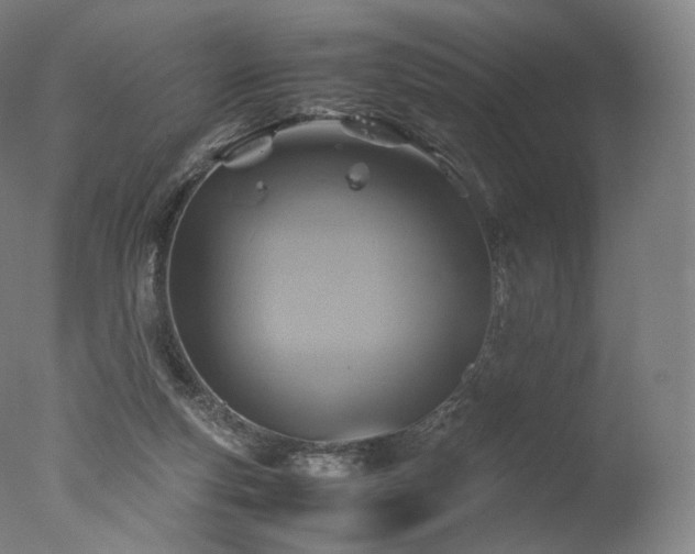 X0000077360163200610201332