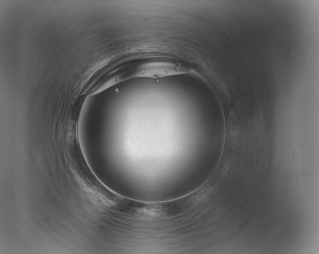 X0000077360164200610201332