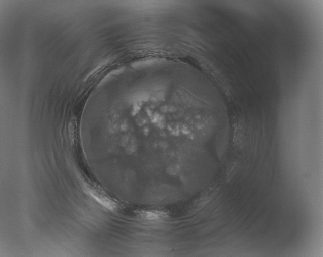 X0000077360165200610201332