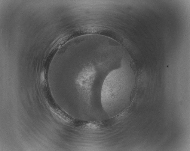 X0000077360166200610201332