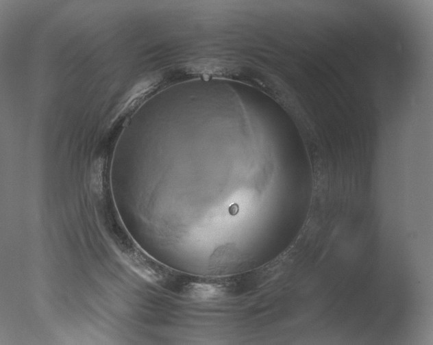 X0000077360167200610201332