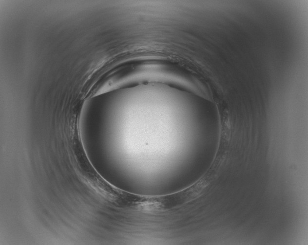 X0000077360168200610201332