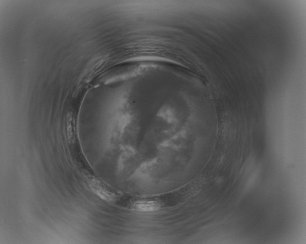 X0000077360169200610201332