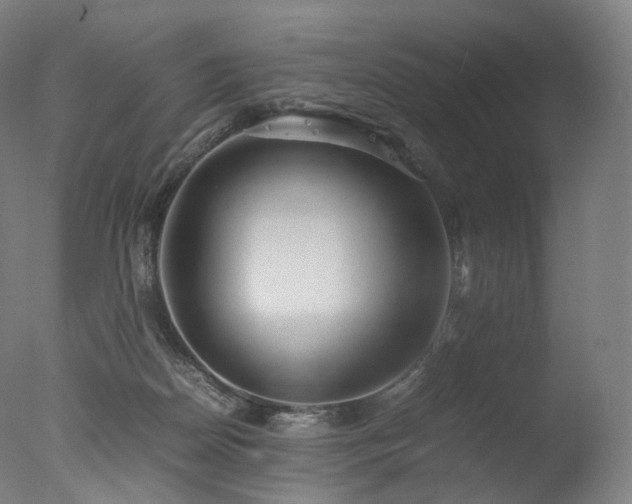 X0000077360170200610201332