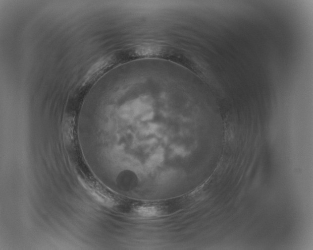 X0000077360171200610201332