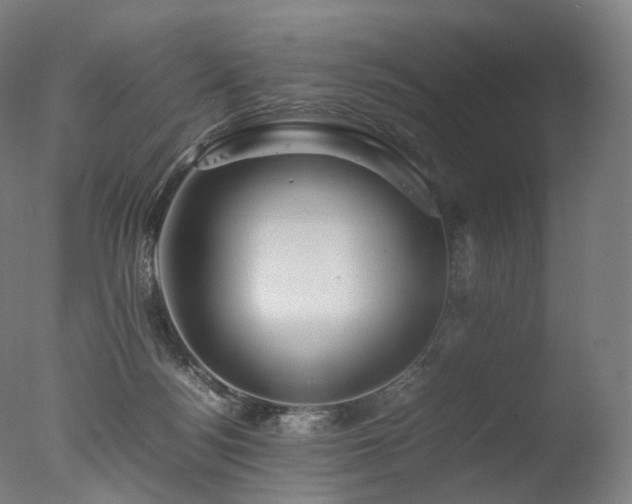 X0000077360172200610201332