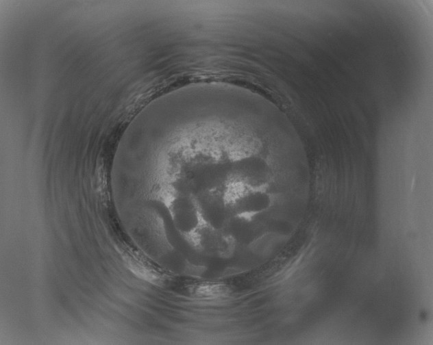 X0000077360173200610201332