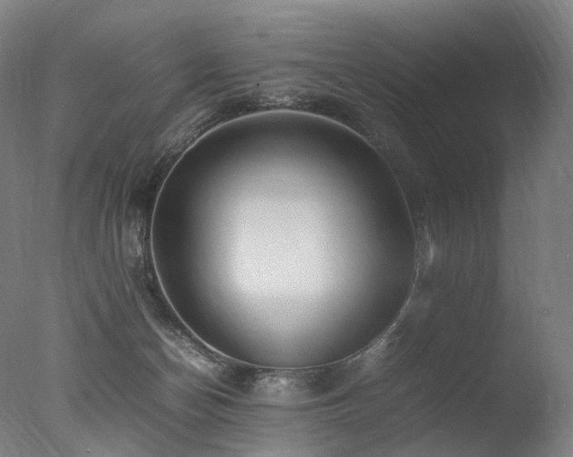 X0000077360174200610201332