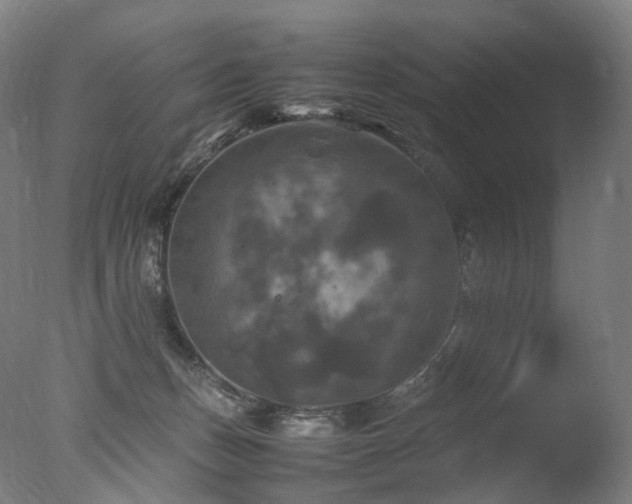 X0000077360175200610201332