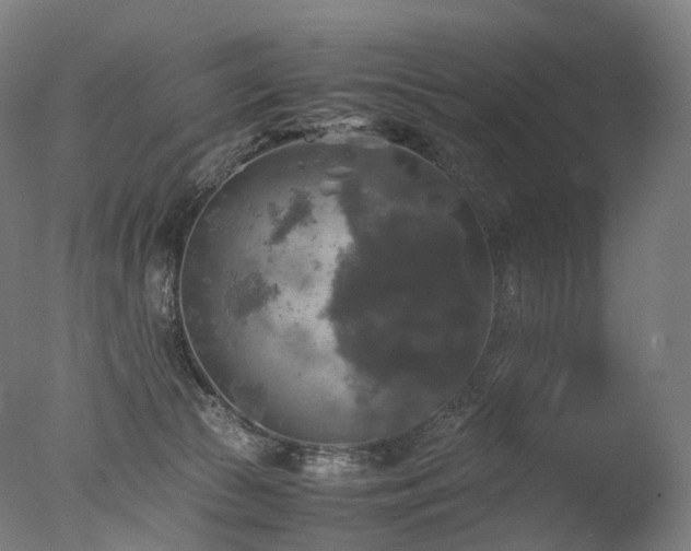 X0000077360177200610201332