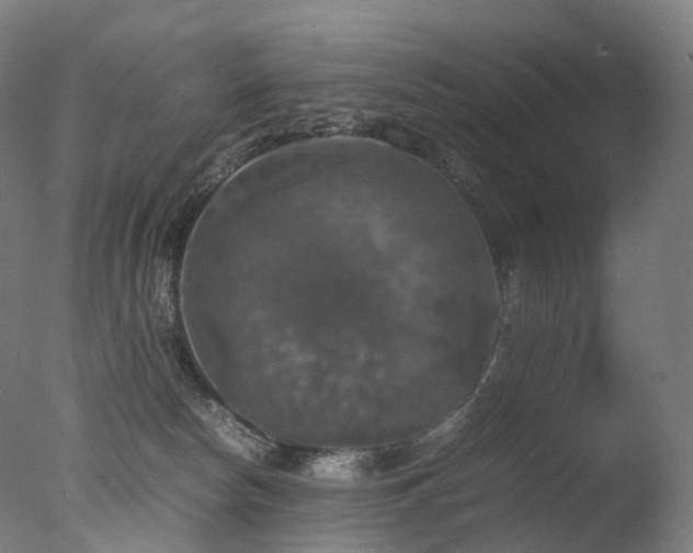 X0000077360178200610201332