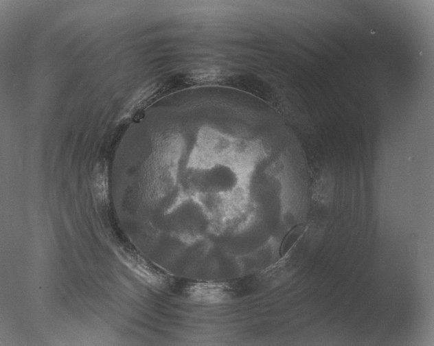 X0000077360179200610201332