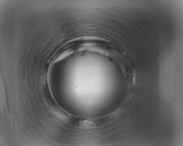 X0000077360180200610201332