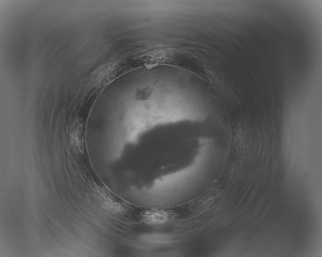 X0000077360181200610201332