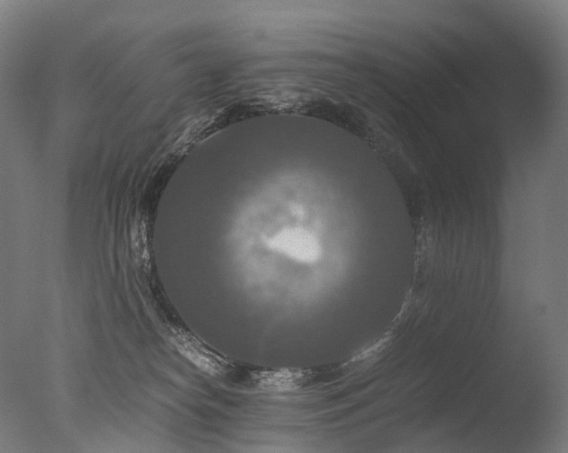 X0000077360182200610201332