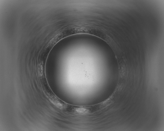 X0000077360183200610201332