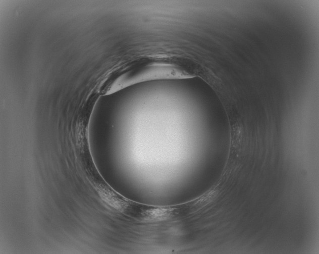 X0000077360184200610201332