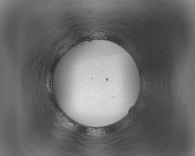 X0000077360185200610201332