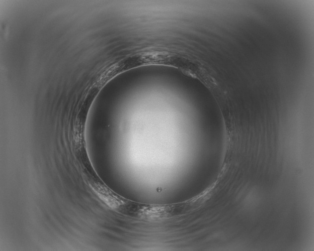 X0000077360186200610201332