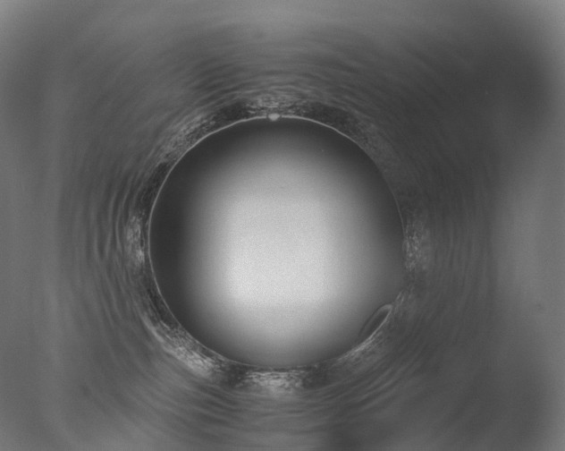 X0000077360187200610201332