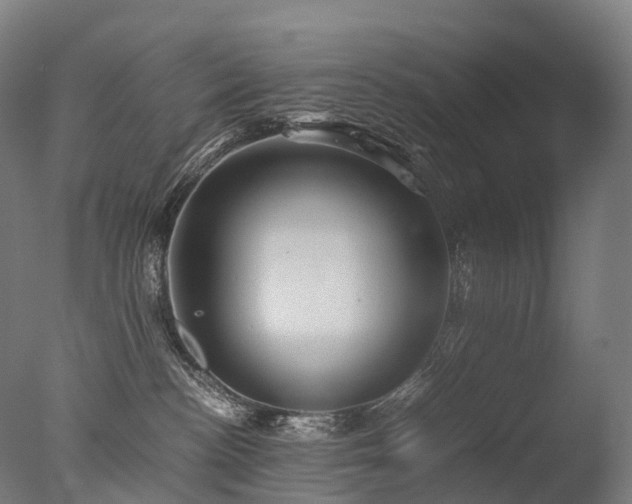 X0000077360188200610201332