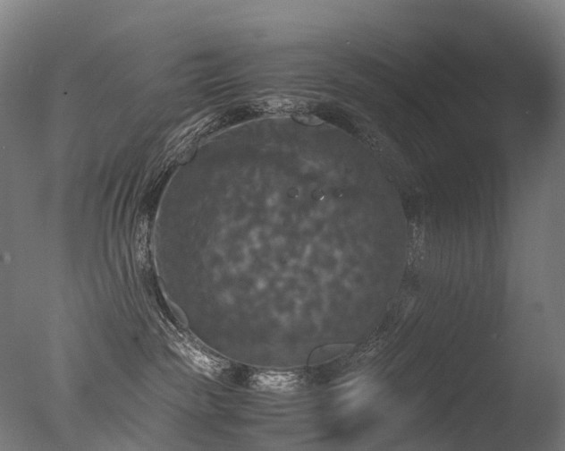 X0000077360189200610201332