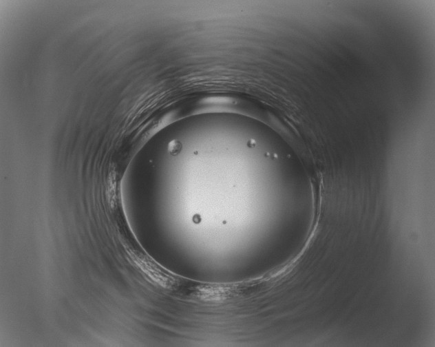 X0000077360190200610201332