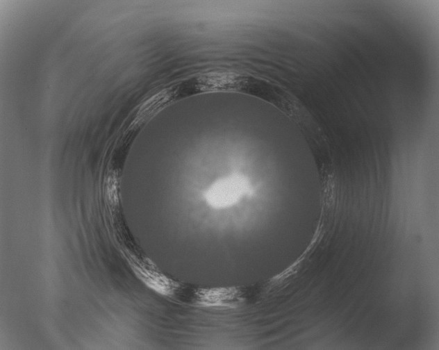 X0000077360191200610201332