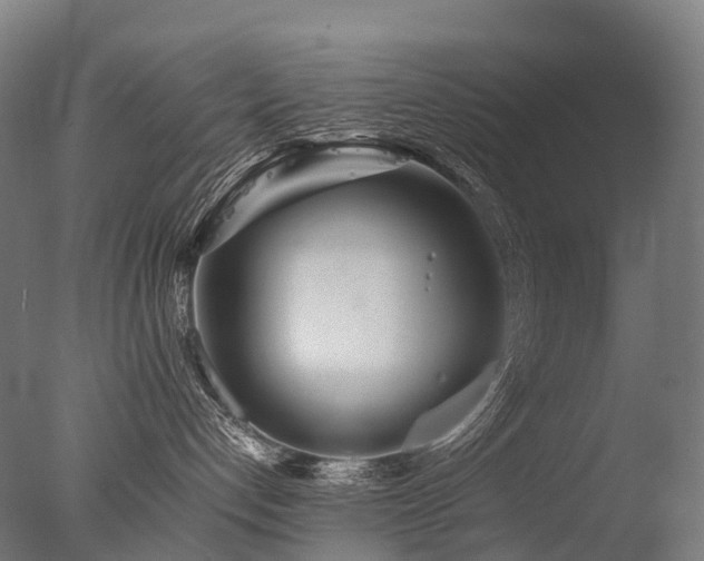 X0000077360192200610201332