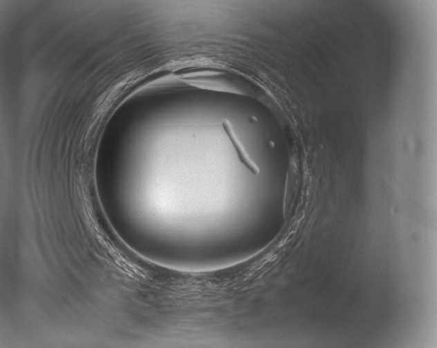 X0000077360193200610201331