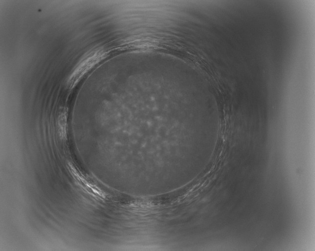 X0000077360194200610201331