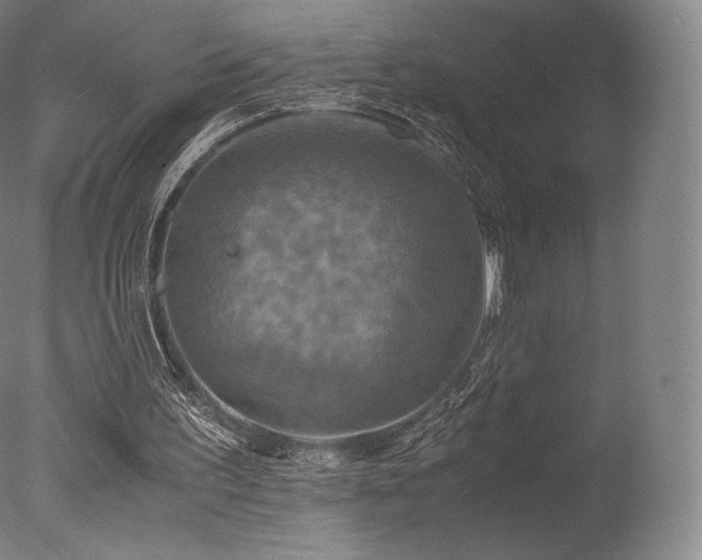 X0000077360195200610201331