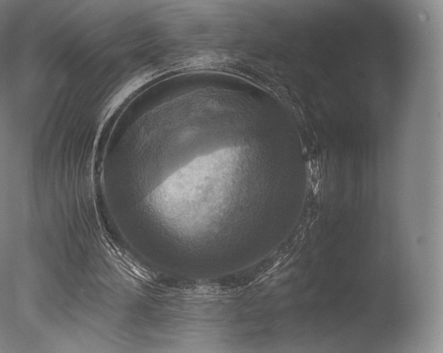 X0000077360196200610201331