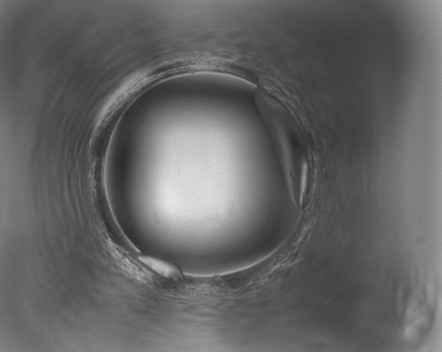 X0000077360197200610201331