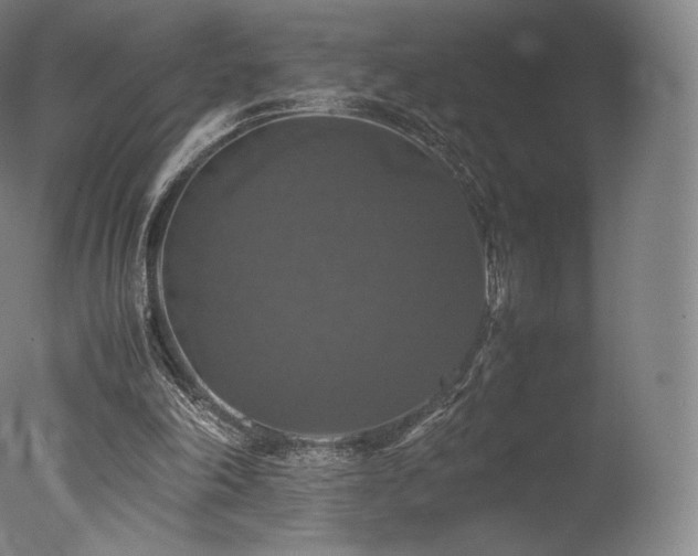 X0000077360198200610201331