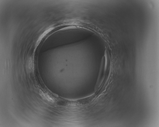 X0000077360200200610201331