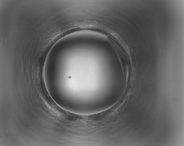 X0000077360201200610201331