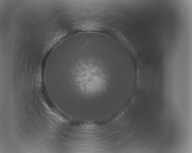 X0000077360202200610201331