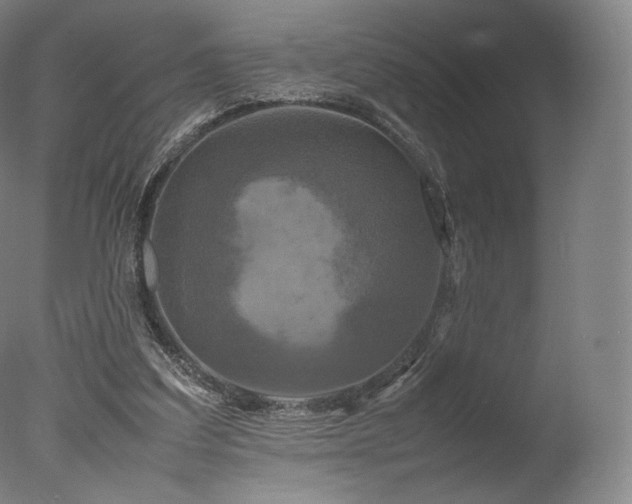 X0000077360203200610201331