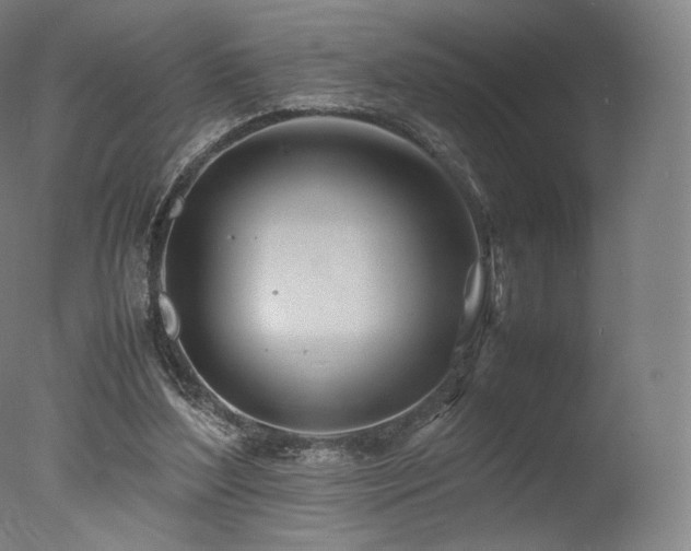 X0000077360204200610201331