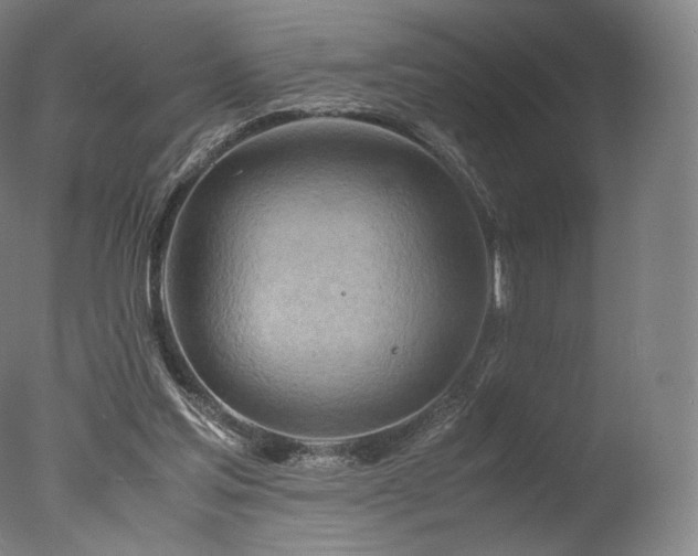 X0000077360205200610201331