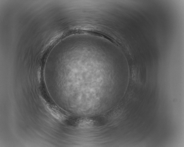 X0000077360206200610201331