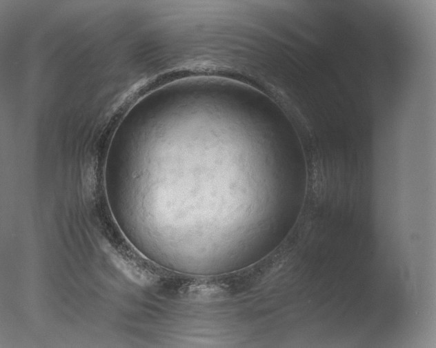 X0000077360208200610201331