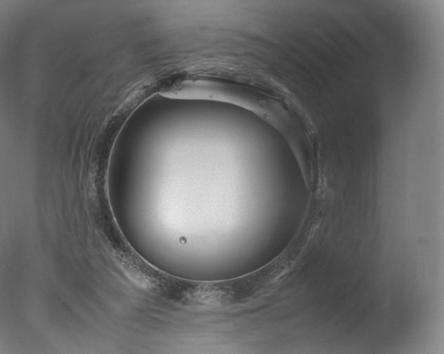 X0000077360209200610201331