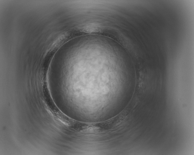 X0000077360210200610201331