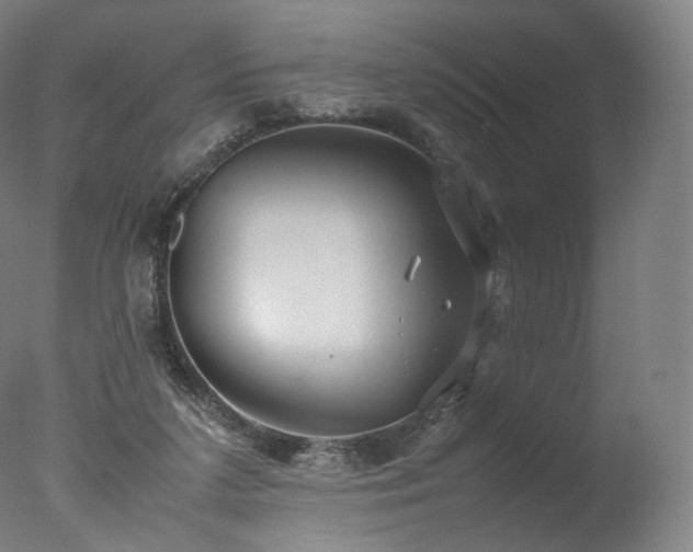 X0000077360211200610201331