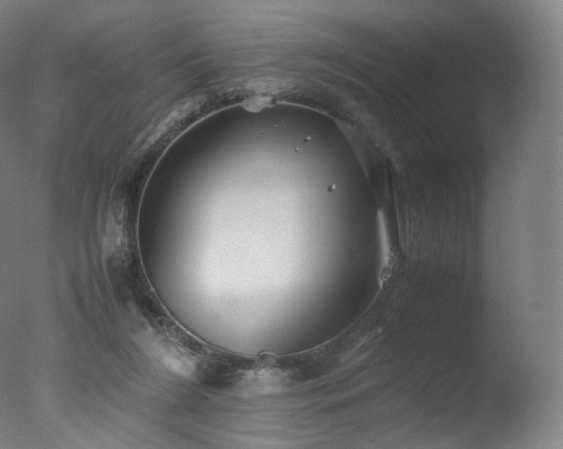 X0000077360212200610201331